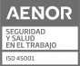 AENOR Seguridad y Salud 2