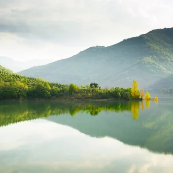 Técnicas microbiológicas acreditadas