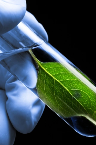 Tóxicos de origen natural